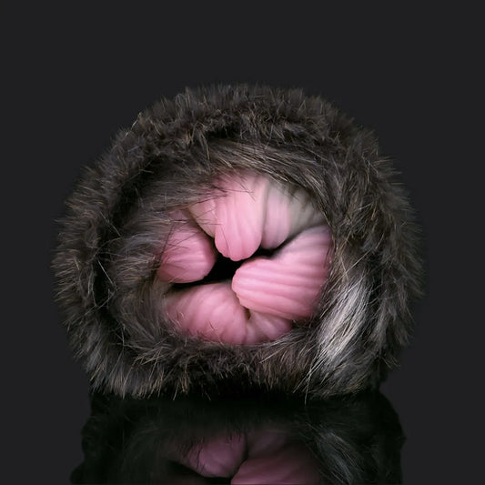 Whispering Prowler Penetrable