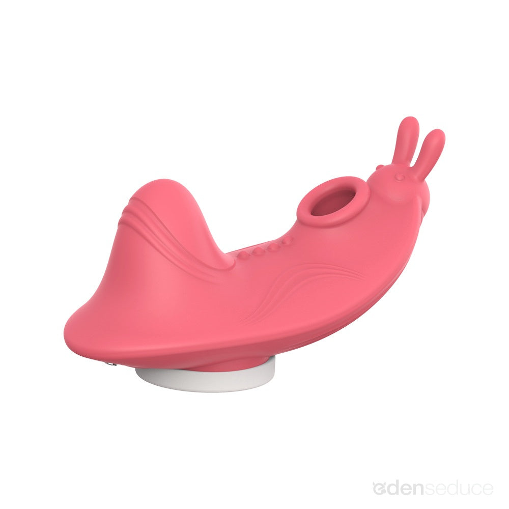 Sweet Secret App Controlled Panty Vibrator