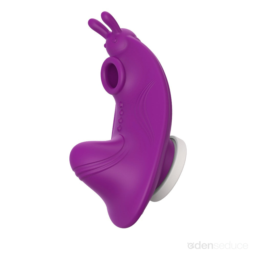 Sweet Secret App Controlled Panty Vibrator
