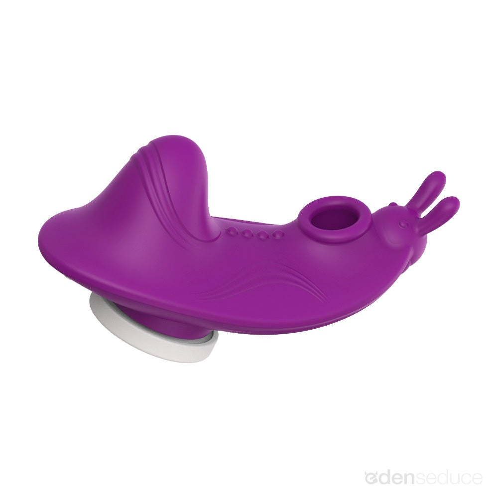 Sweet Secret App Controlled Panty Vibrator