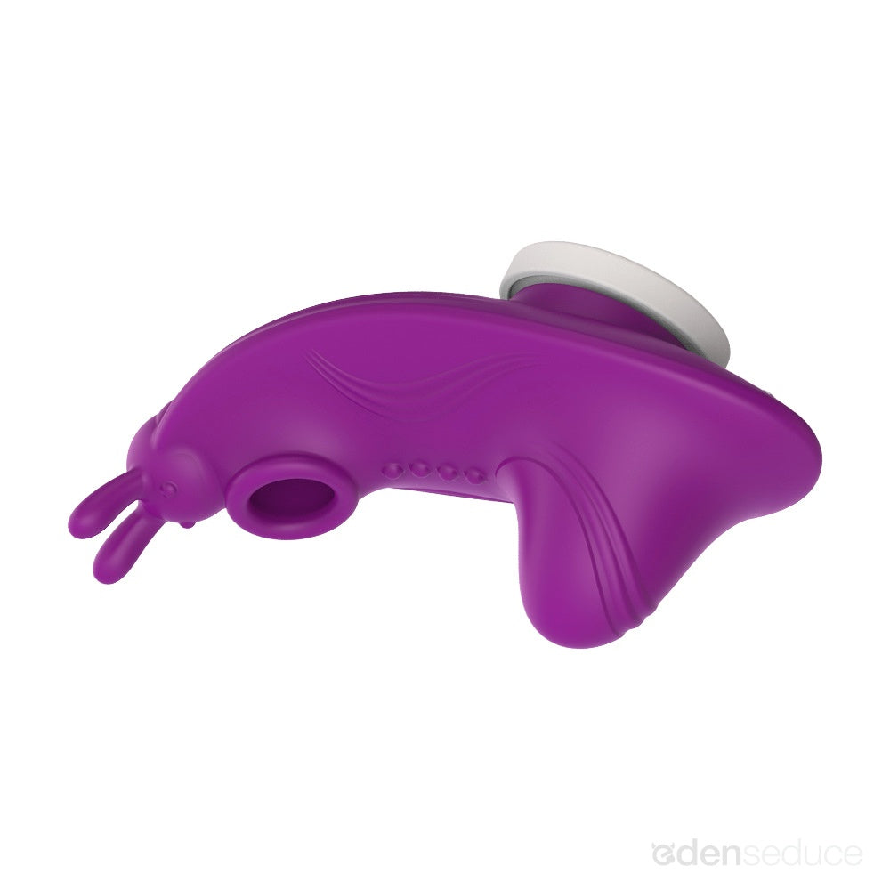 Sweet Secret App Controlled Panty Vibrator