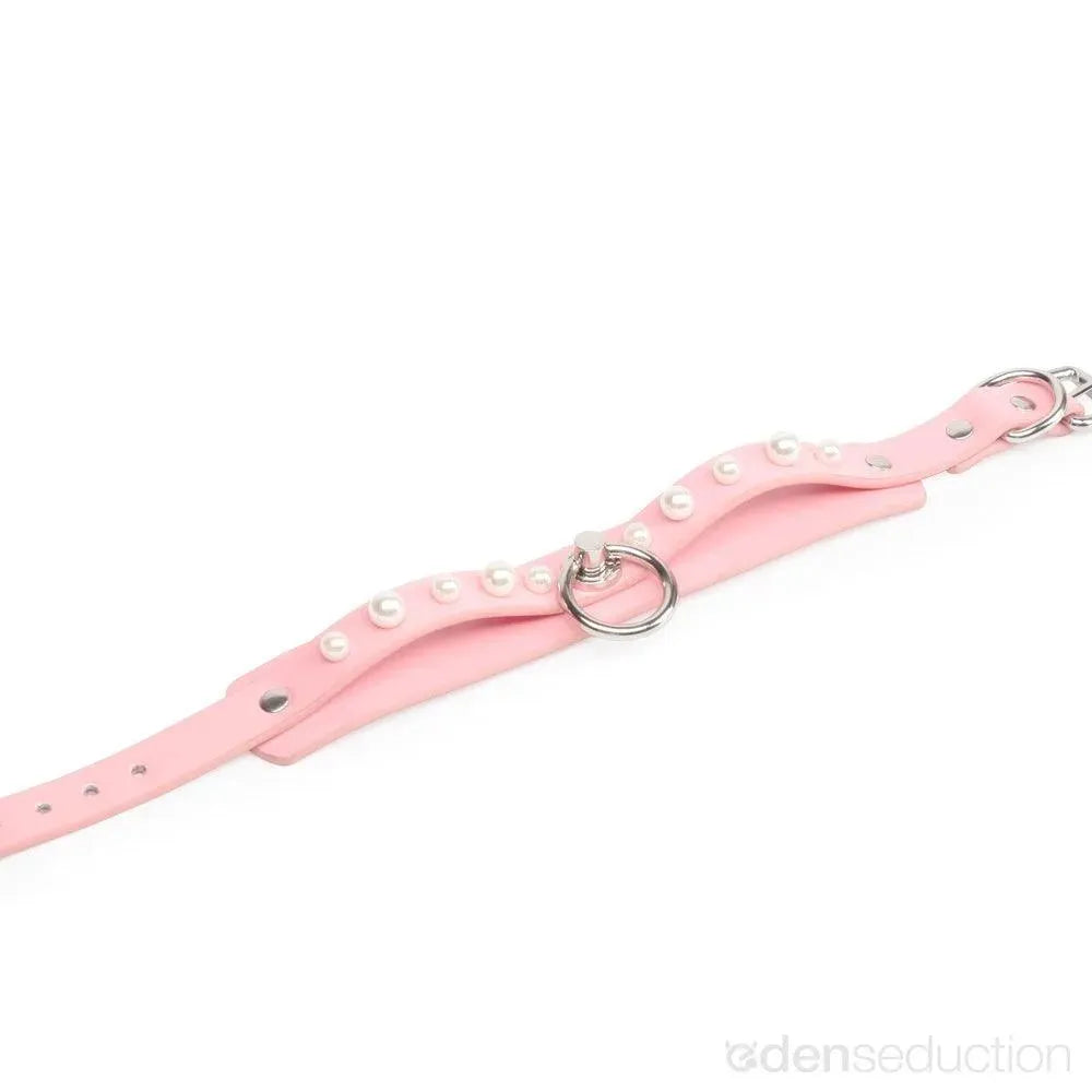 Silicone collar with leash Collar - EdenSeduce