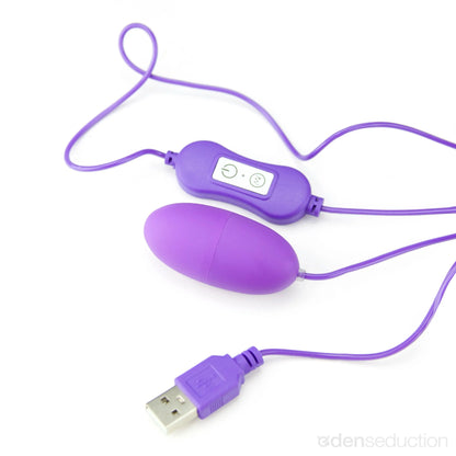 USB power egg Egg vibrator with control - EdenSeduce