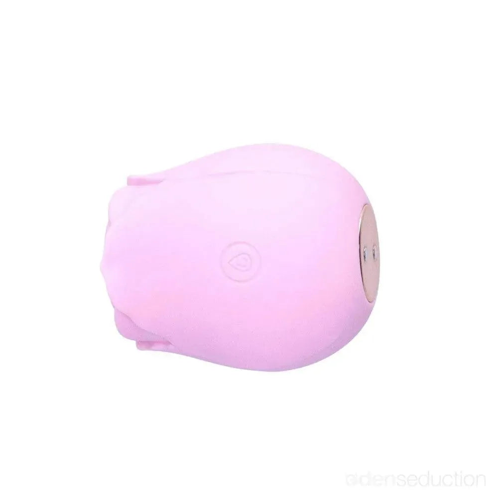 1 Selling Rose Sex Toy Air Pulse Stimulator EdenSeduce 1 Selling Rose Sex Toy Air Pulse Stimulator EdenSeduce