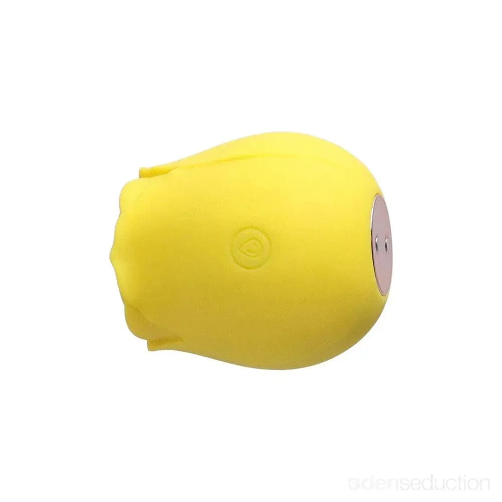 1 Selling Rose Sex Toy Air Pulse Stimulator EdenSeduce 1 Selling Rose Sex Toy Air Pulse Stimulator EdenSeduce