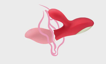 Double lust Large rabbit vibrator